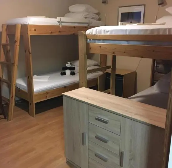 浴室共有スタンダード４人用ルーム, Viking Motel