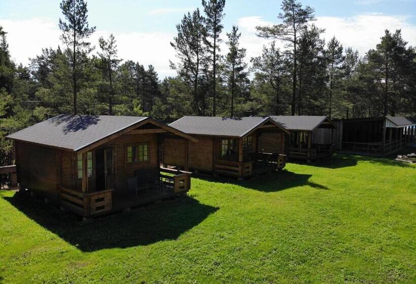 シャレー1寝室, Viking Motel