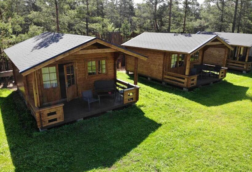 Шале 1 Спальня, Viking Motel