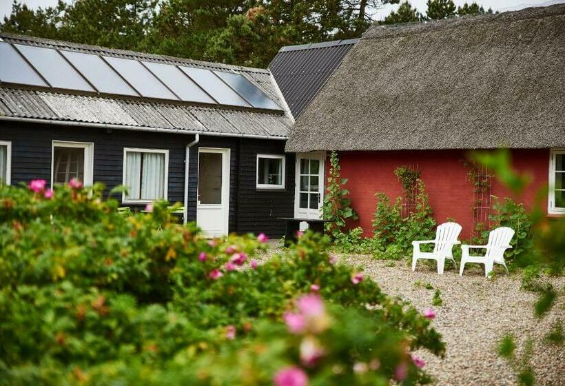 Номер Стандарт Совместная Ванная, Poppelgaarden Rømø   Hostel