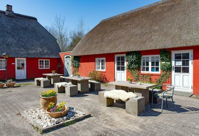 غرفة قياسية حمام مشترك, Poppelgaarden Rømø   Hostel