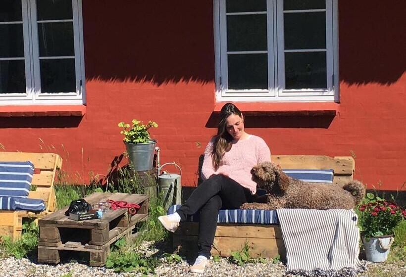Номер Стандарт Четырехместный Совместный Санузел, Poppelgaarden Rømø   Hostel