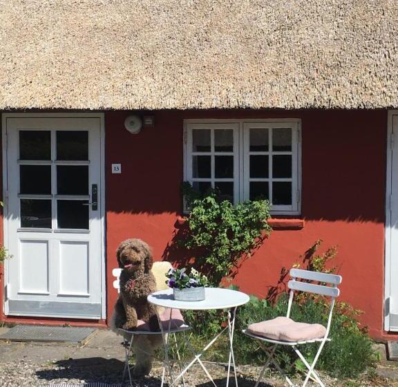 غرفة قياسية فردية, Poppelgaarden Rømø   Hostel