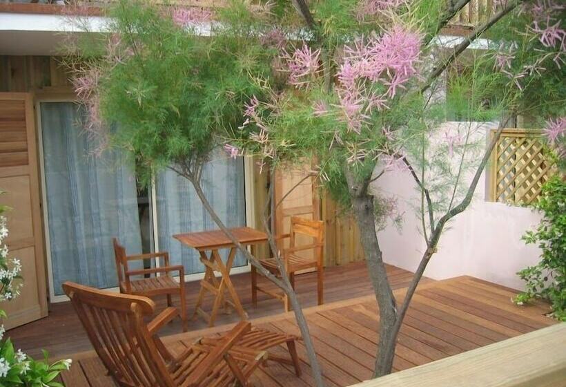 غرفة كومفورت, Des Dunes