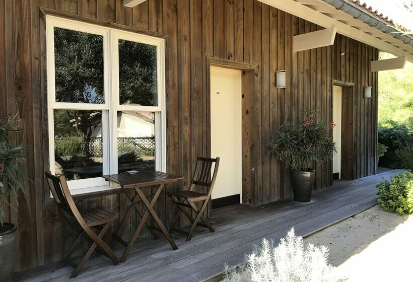 غرفة قياسية, Des Dunes