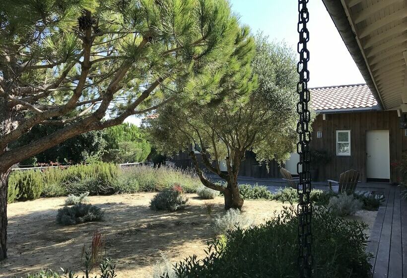Номер Стандарт, Des Dunes