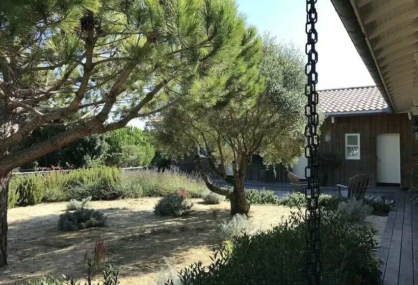 スタンダードルーム, Des Dunes