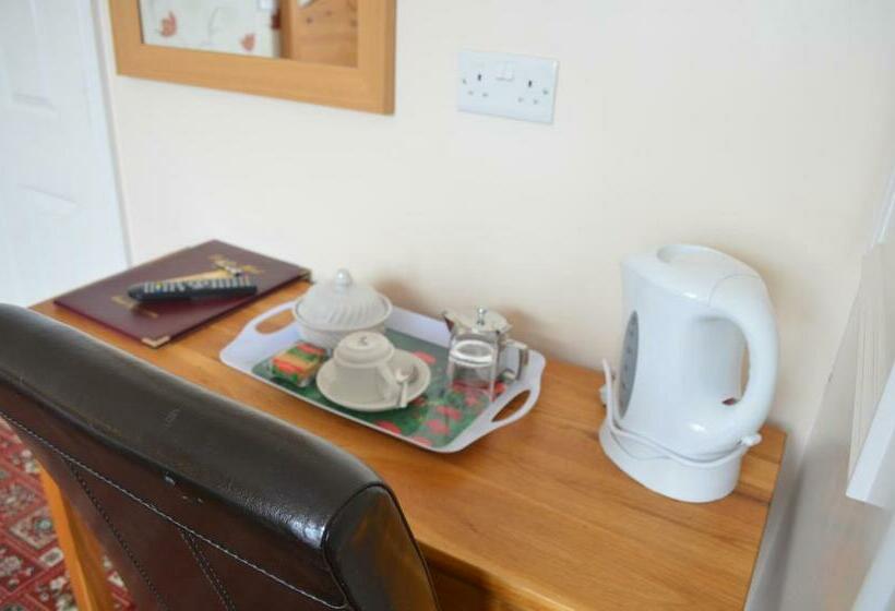 غرفة قياسية, Dolphin