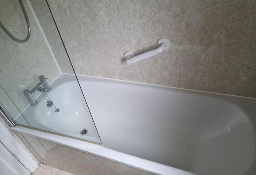 غرفة قياسية, Dolphin