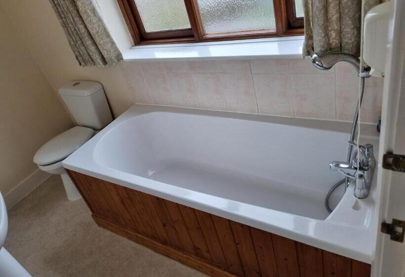 غرفة قياسية, Dolphin