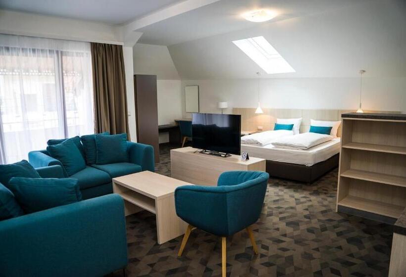 استودیو استاندارد با بالکن, Kapetanovina