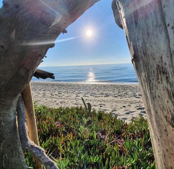 Апартаменты 1 Спальня, Levolle Marine