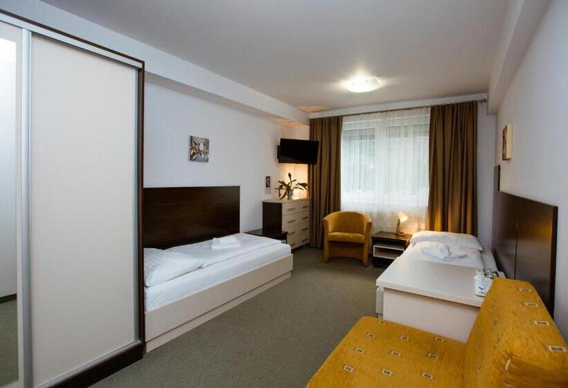 اتاق استاندارد, Litovel