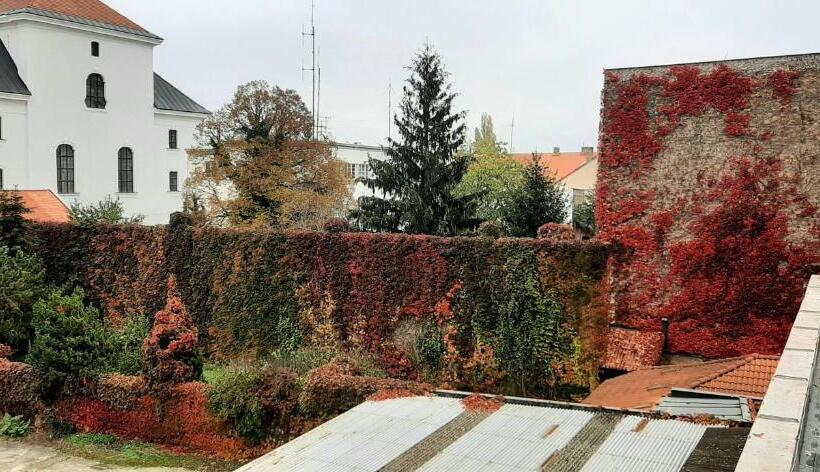 آپارتمان 1 خوابه, Litovel