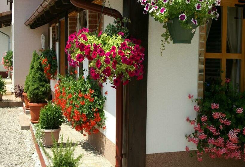 带3个卧室的复式公寓, Bed & Breakfast Helena