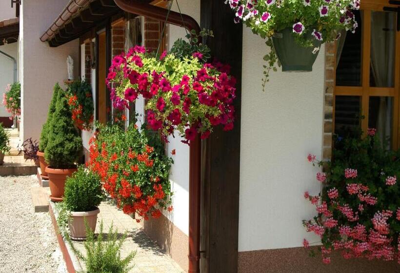 Comfort room with balcony, Bed & Breakfast Helena