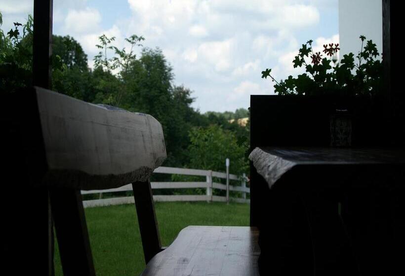 经济房, Bed & Breakfast Helena