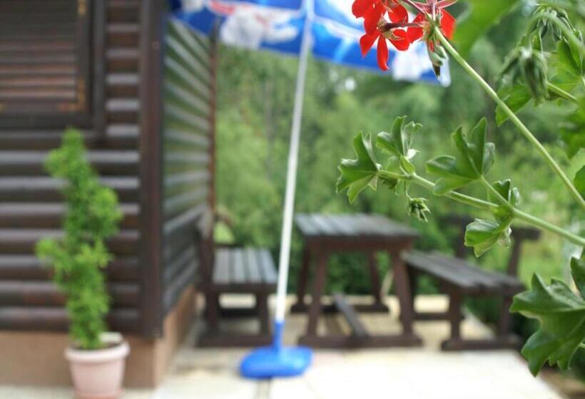 经济房, Bed & Breakfast Helena