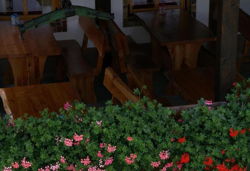 带露台的标准房间, Bed & Breakfast Helena