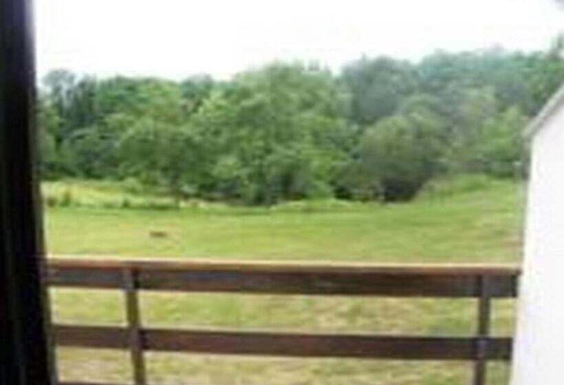 带露台的标准房间, Bed & Breakfast Helena