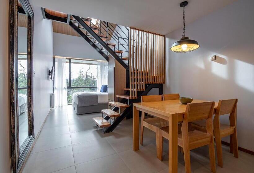 침실 1개 디럭스 아파트, Alto Traful