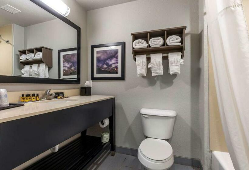 Стандартный Номер Кровать Кинг, Best Western Plus Pauls Valley