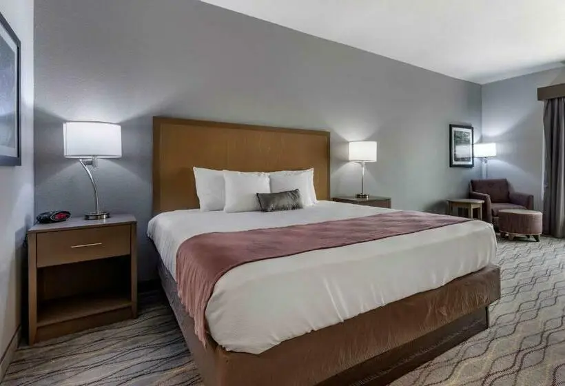 キングサイズベッドのスタンダードルーム, Best Western Plus Pauls Valley