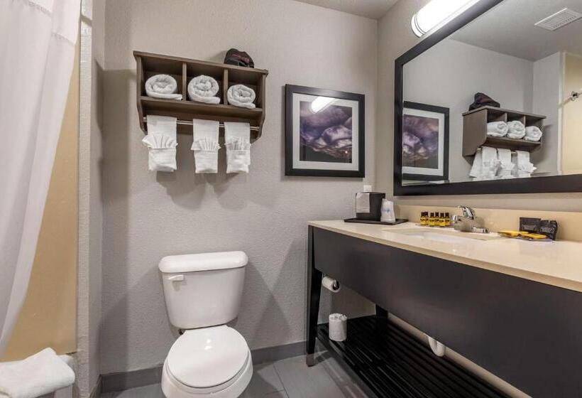 キングサイズベッドのスイートルーム, Best Western Plus Pauls Valley