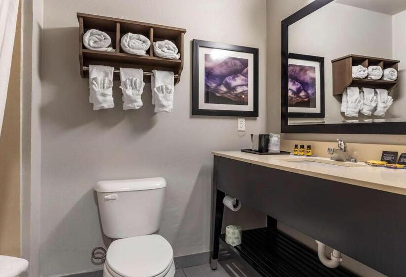 2ダブルベッドのスタンダードルーム, Best Western Plus Pauls Valley