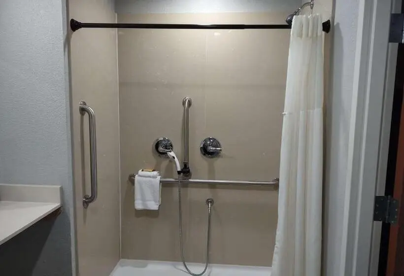 身障者適用キングサイズベッドルーム, Best Western Plus Pauls Valley