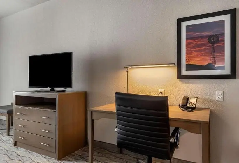 身障者適用キングサイズベッドルーム, Best Western Plus Pauls Valley