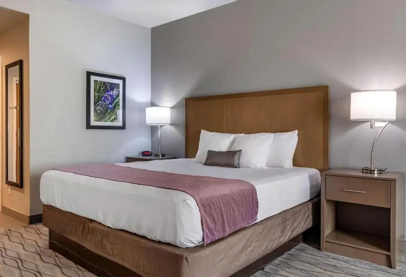 身障者適用キングサイズベッドルーム, Best Western Plus Pauls Valley