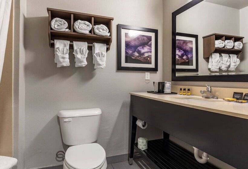 Номер Стандарт 2 Двуспальные Кровати, Best Western Plus Pauls Valley
