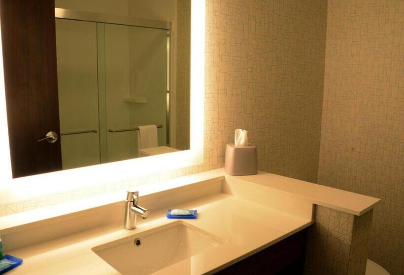 חדר סטנדרט, Holiday Inn Express & Suites   Pittsburgh   Monroeville, An Ihg