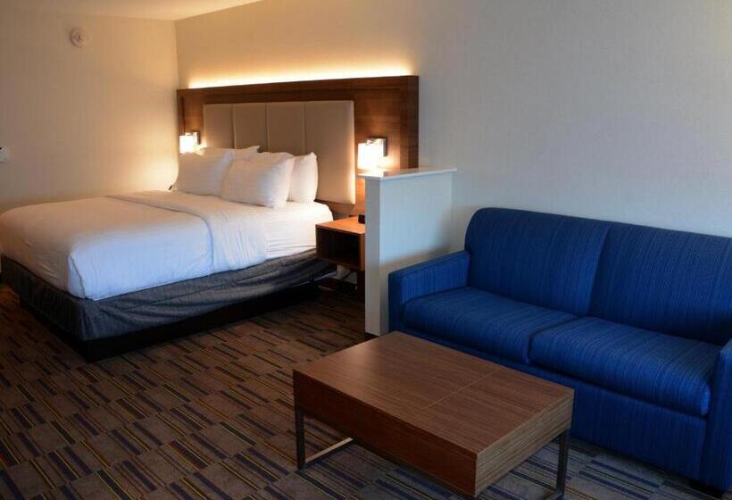 מיטת קינג בסוויטה, Holiday Inn Express & Suites   Pittsburgh   Monroeville, An Ihg