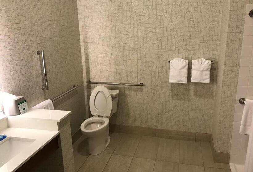 장애인을 위한 킹사이즈 침대 스탠다드 룸, Holiday Inn Express & Suites   Pittsburgh   Monroeville, An Ihg