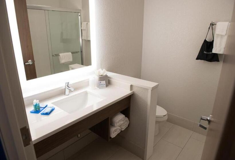 キングサイズベッドのスイートルーム, Holiday Inn Express & Suites Mishawaka South Bend, An Ihg