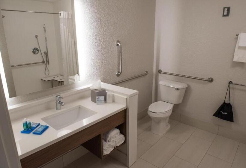 身障者適用スイートルーム, Holiday Inn Express & Suites Mishawaka South Bend, An Ihg