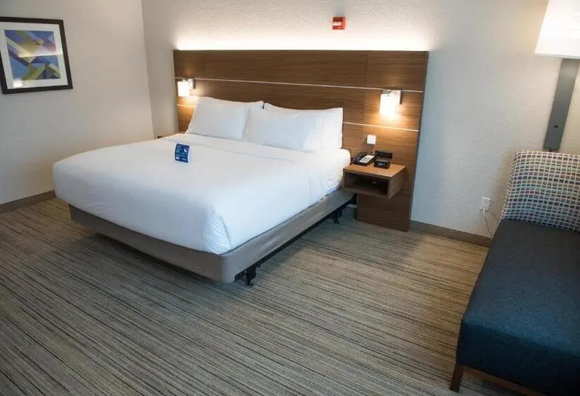 身障者適用キングサイズベッドルーム, Holiday Inn Express & Suites   Mishawaka   South Bend, An Ihg
