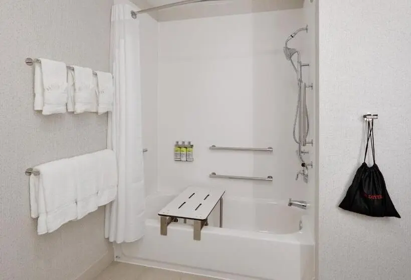 身障者適用スイートルーム, Holiday Inn Express & Suites Plano East   Richardson, An Ihg