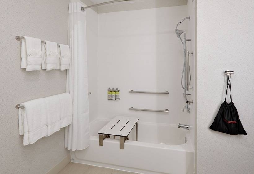 适合残疾人士使用的套间, Holiday Inn Express & Suites Plano East   Richardson, An Ihg