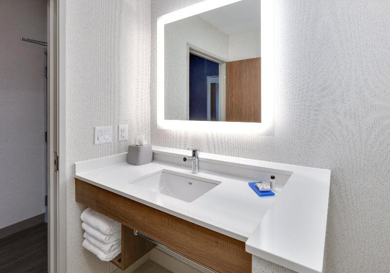 Люкс Кровать Кинг, Holiday Inn Express & Suites Plano East   Richardson, An Ihg