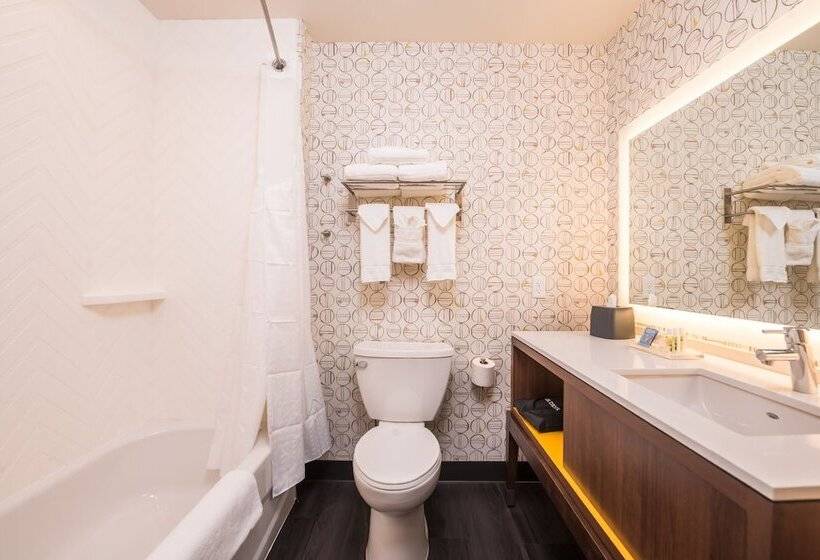 장애인을 위한 스탠다드 룸, Holiday Inn Joplin, An Ihg