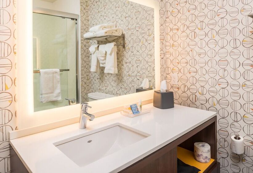 장애인을 위한 스탠다드 룸, Holiday Inn Joplin, An Ihg