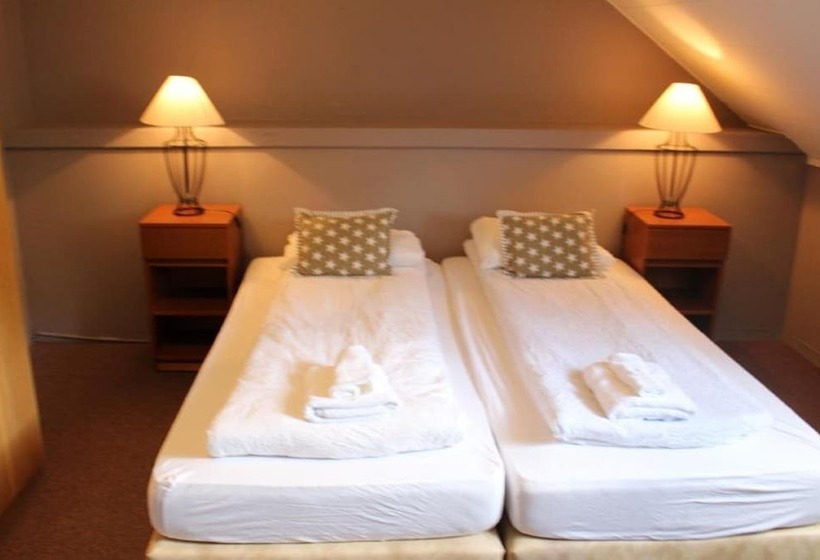 اتاق استاندارد با سرویس بهداشتی مشترک, North Star Guesthouse Olafsvik