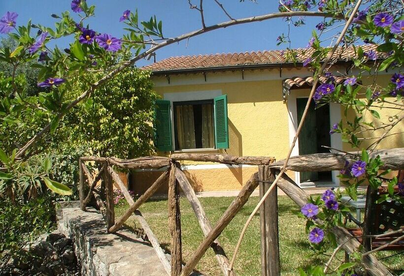 スタンダードルーム, Agriturismo Villa Vittoria