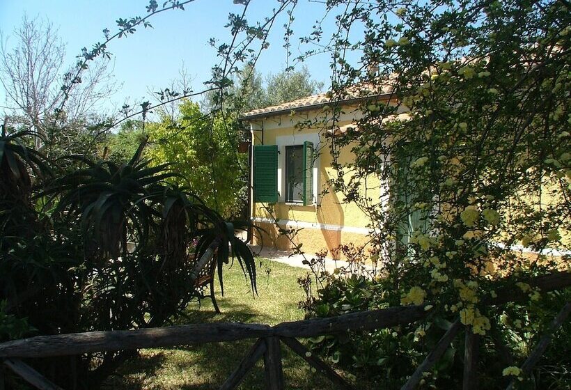 スタンダードルーム, Agriturismo Villa Vittoria