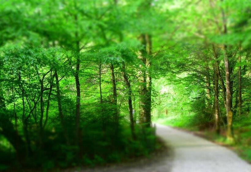 ベーシックルーム, Almrefugio