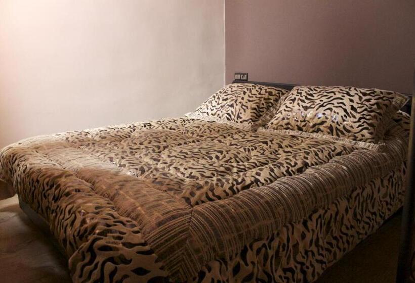 스탠다드 룸, Collier De La Colombe