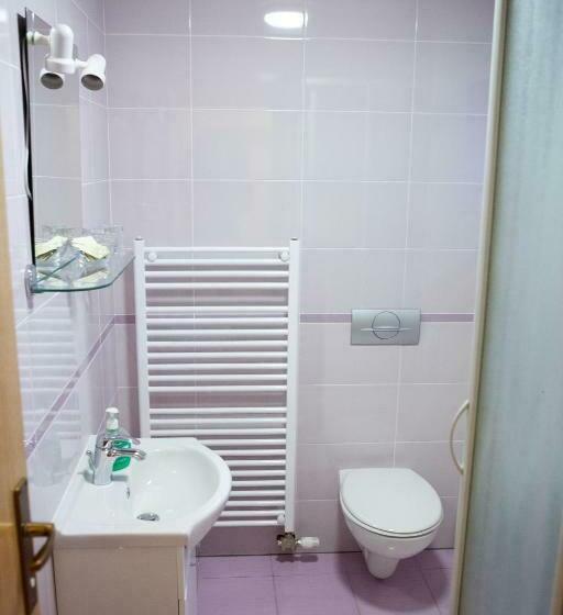 Номер Стандарт, Pansion Budimir